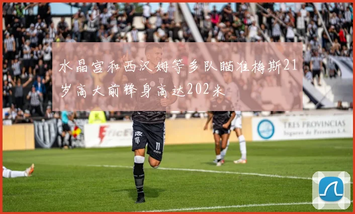水晶宫和西汉姆等多队瞄准梅斯21岁高大前锋身高达202米
